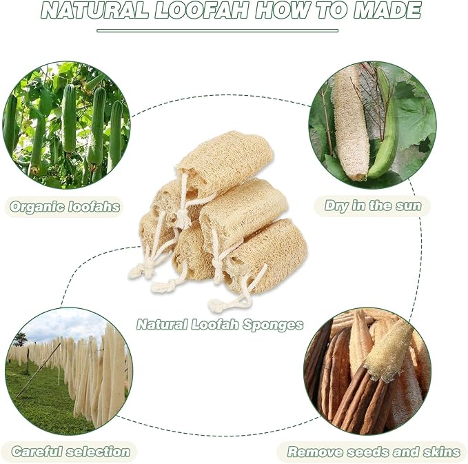 Natural Loofah Slices Cuts for Soap Making-20 Pack Organic Luffa Loofa Sponges - Image 6