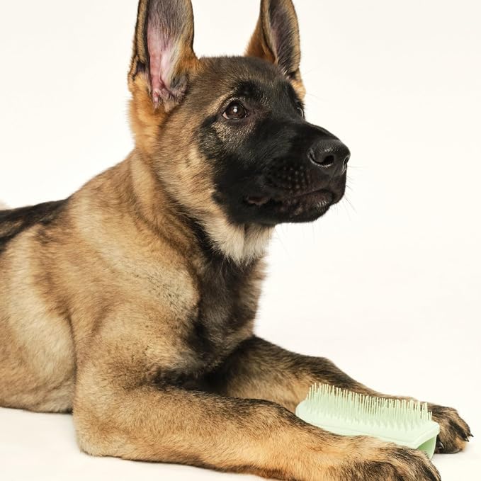 Pet Teezer Puppy Essential Dog Brush, - Image 8