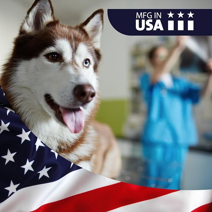 VetWELL Dog Ear Cleaner Solution & Infection Treatment - Image 8