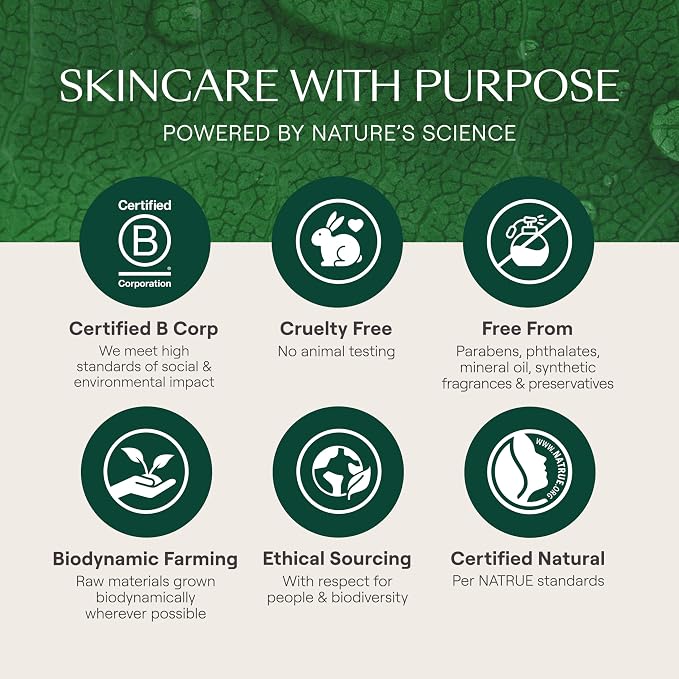 Weleda Skin Food Original 3-Pack - Image 9