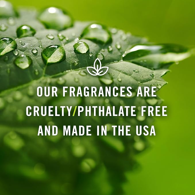 P&J Trading Fragrance | Eucalyptus Oil 30ml - Image 6
