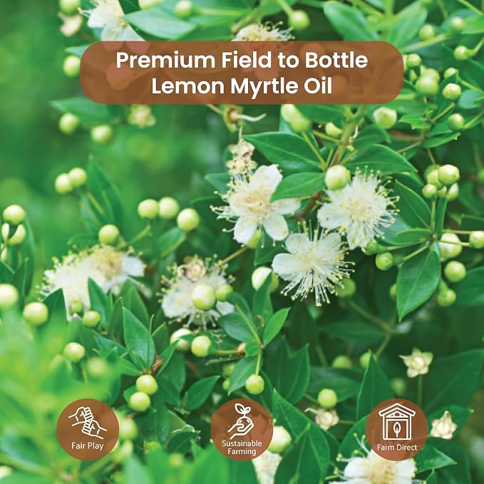 Lemon Myrtle Essential Oil - Image 7