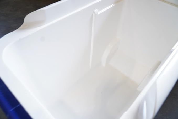 Marine 31 Mildew Stain Remover & Cleaner - Image 3