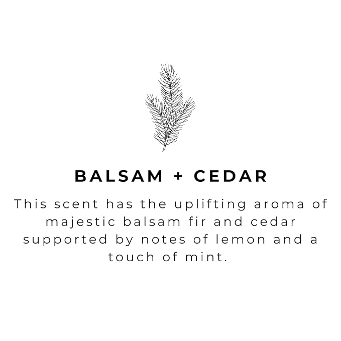 River Birch Balsam Cedar Scented Natural Hand Soap Refill - Image 3