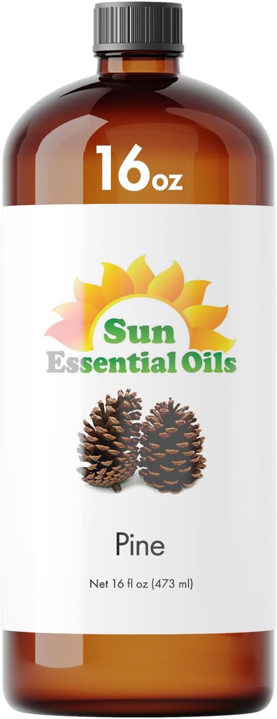 Sun Essential Oils – Pine Essential Oil 16 oz Bulk by SunEssentialOils