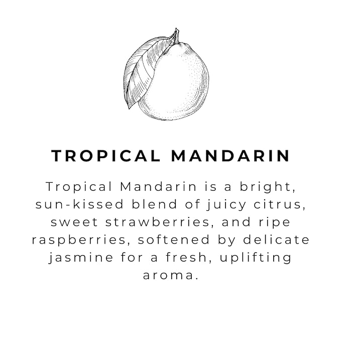 River Birch Tropical Mandarin Scented Natural Hand Soap - Image 4