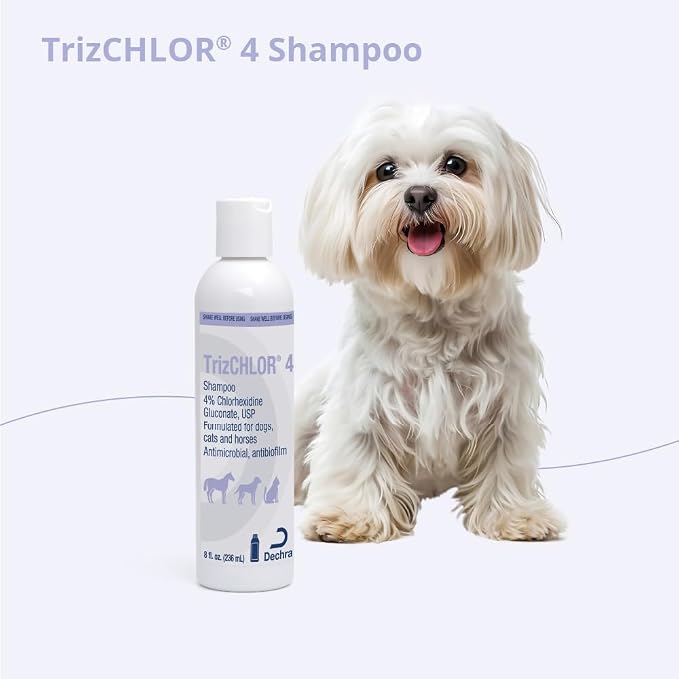 TrizCLHOR 4 Shampoo, 8 Ounce - Image 8