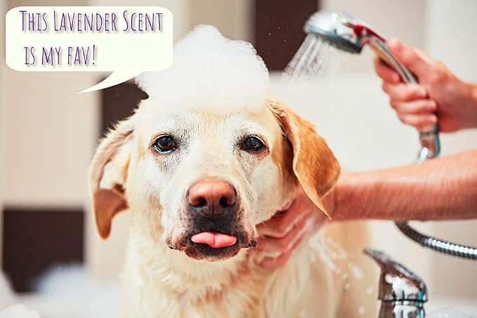 5-in-1 Dog Wash Moisturizing Lavender Shampoo, by Kira Labs 960ml/32fl - Image 9