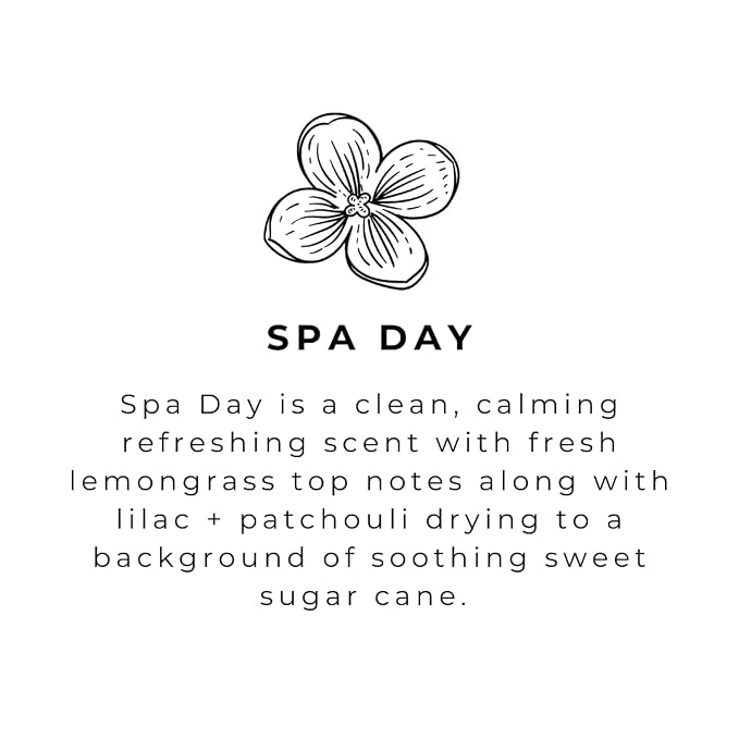 River Birch Spa Day Scented Natural Hand Soap - Image 4