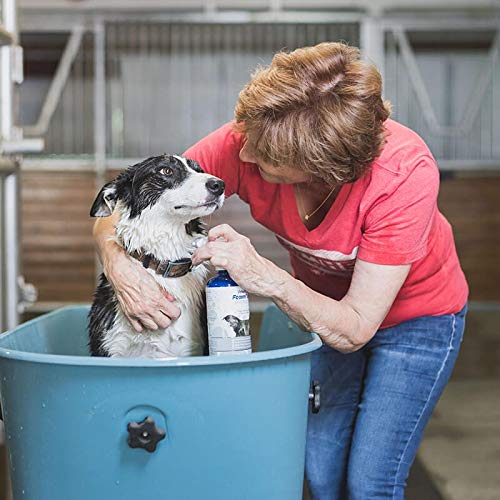 Vetericyn FoamCare Medicated Dog Shampoo - Image 3