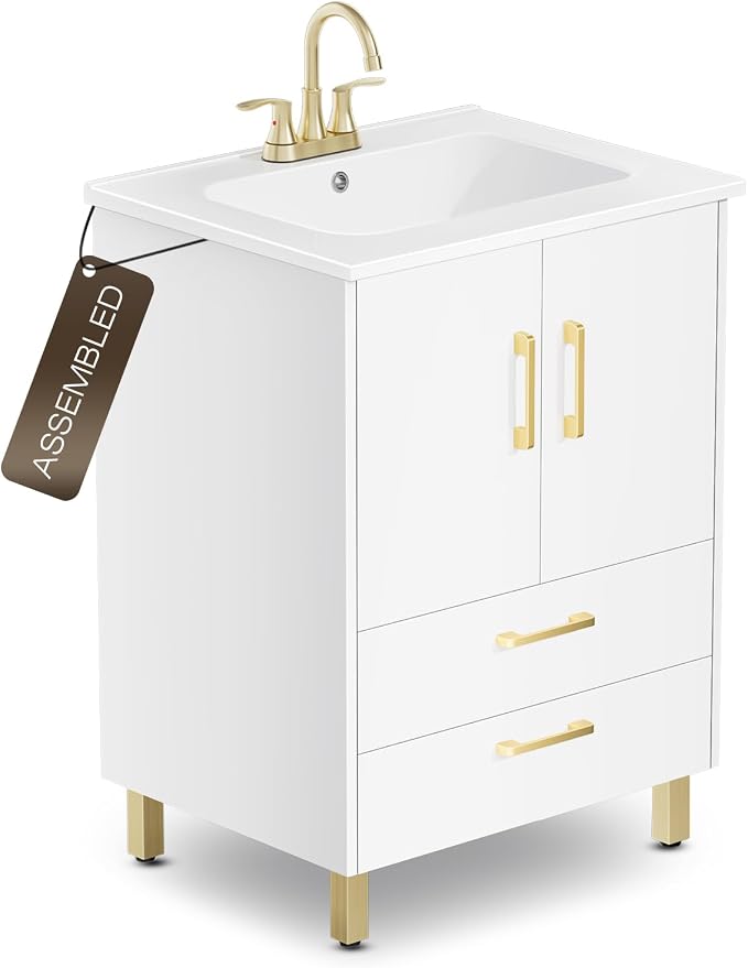 phiestina Fully Pre-Assembled 24 inch Single White Bathroom Vanity by Phiestina