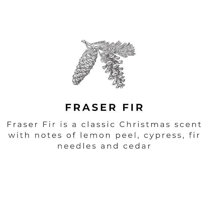 River Birch Fraser Fir Scented Natural Hand Soap Refill - Image 2