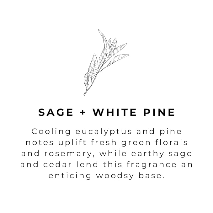 River Birch Sage + White Pine Scented Natural Hand Soap - Image 4