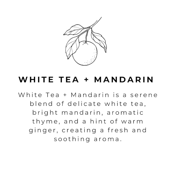 River Birch White Tea + Mandarin Scented Natural Hand Soap - Image 4
