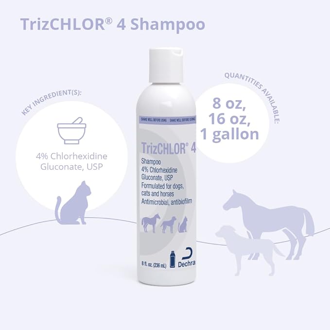 TrizCLHOR 4 Shampoo, 8 Ounce - Image 3