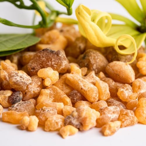 Frankincense Essential Oil - Image 9