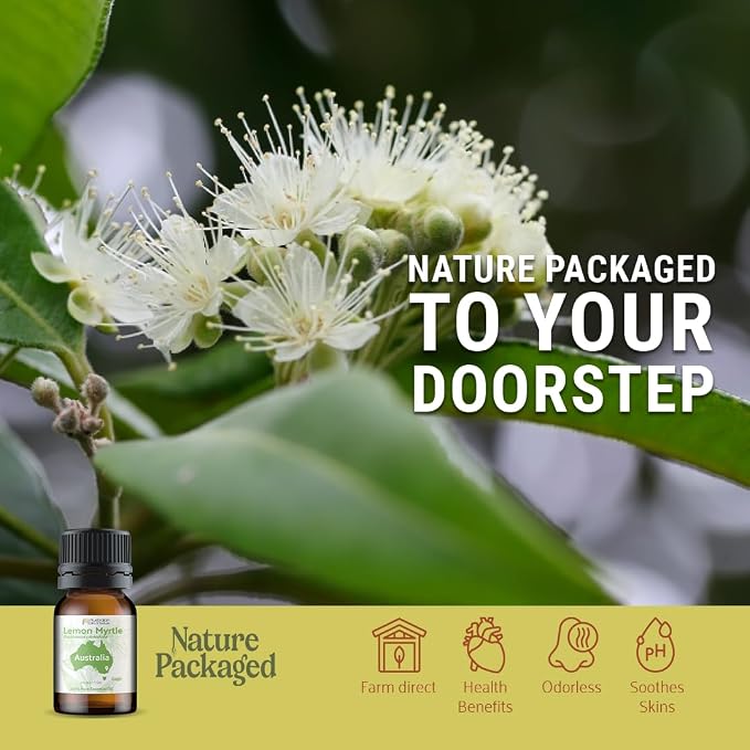 Lemon Myrtle Essential Oil - Image 5