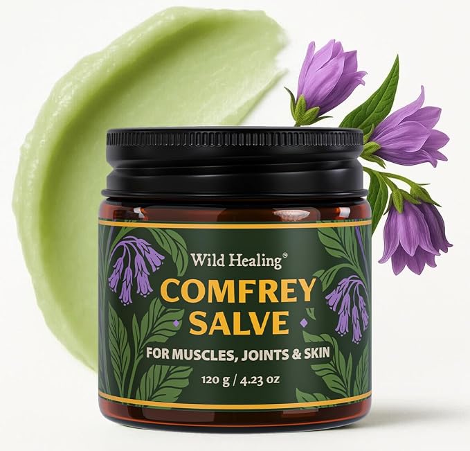 Wild Healing Comfrey Salve – Concentrated Herbal Balm by WildHealing