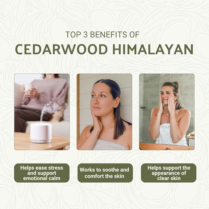 Cedarwood Himalayan Essential Oil - Image 3
