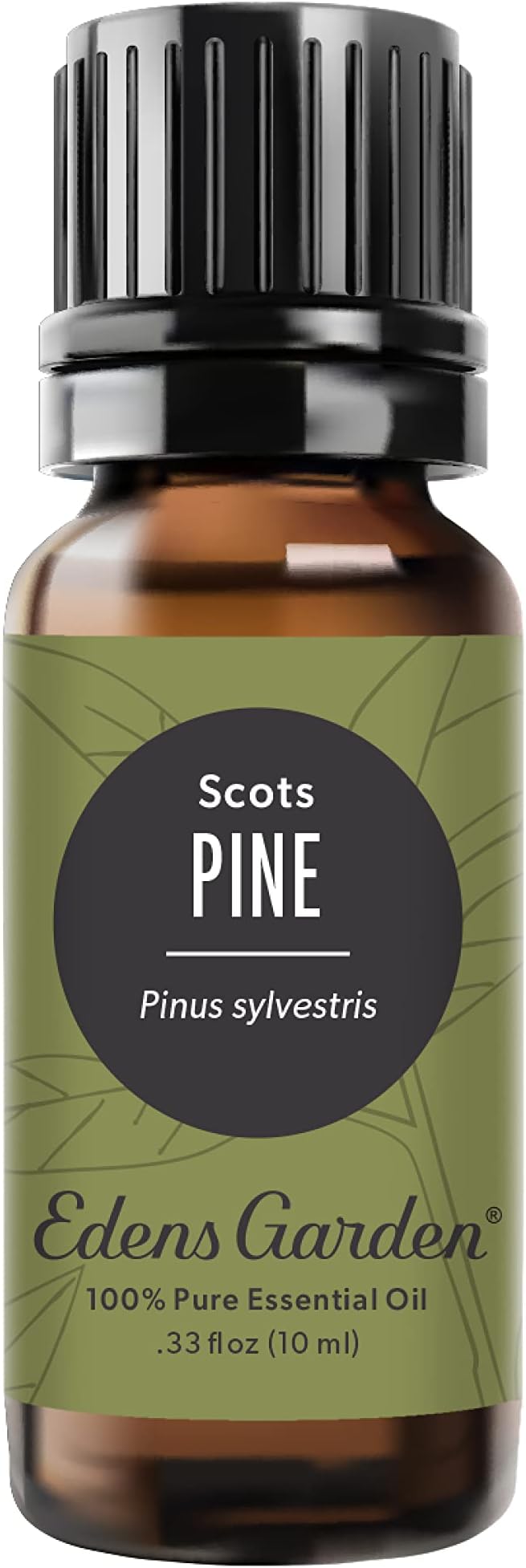 Edens Garden Pine- Scots Essential Oil- 100% Pure Premium Grade, Therapeutic by EdensGarden