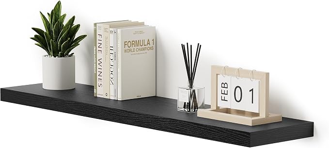 Vivelove Single Floating Shelves 48 Inches, 48 x 10 inch Deep x 1.8 in Thick by VIVELOVE