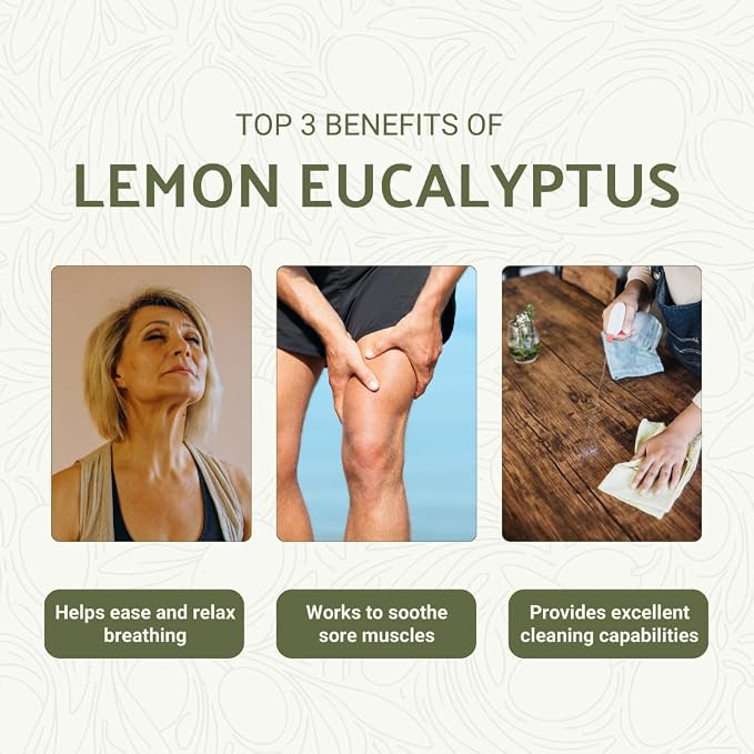 Lemon Eucalyptus Oil by Eucaliptus from Brazil - Image 3