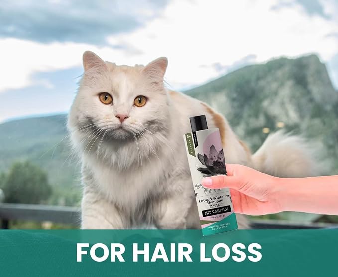 Holistic Natural Derived Lotus and White Tea Pet Shampoo: Veterinarian - Image 8