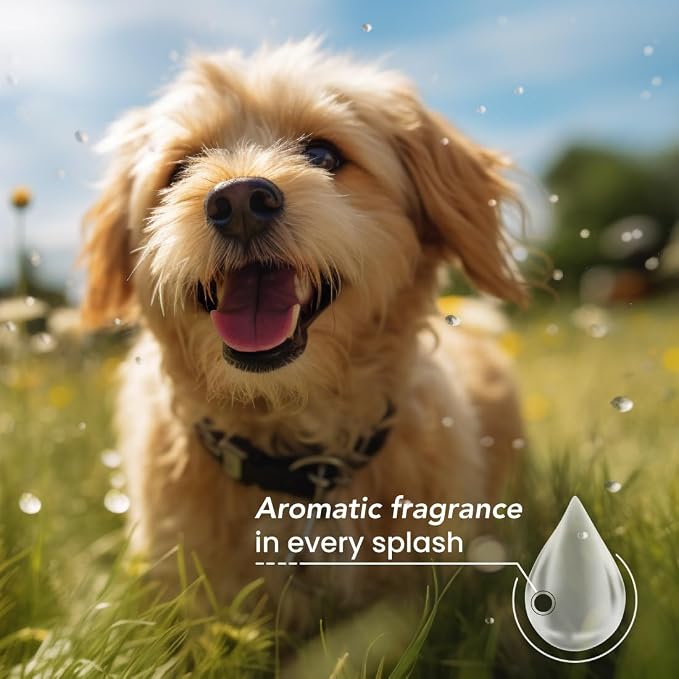 Best Shot Scentament Spa Botanical Body Splash, Detangler Spray, Body Spray - Image 2