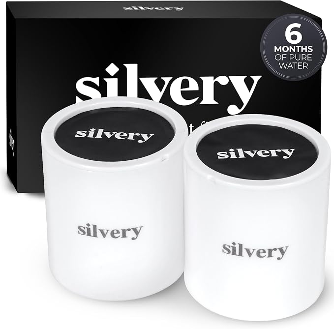 Silvery High Pressure Filtered Shower Head by Silvery