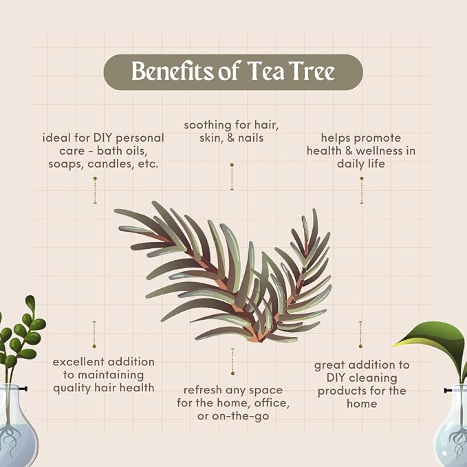 Tea Tree Essential Oil - Image 4