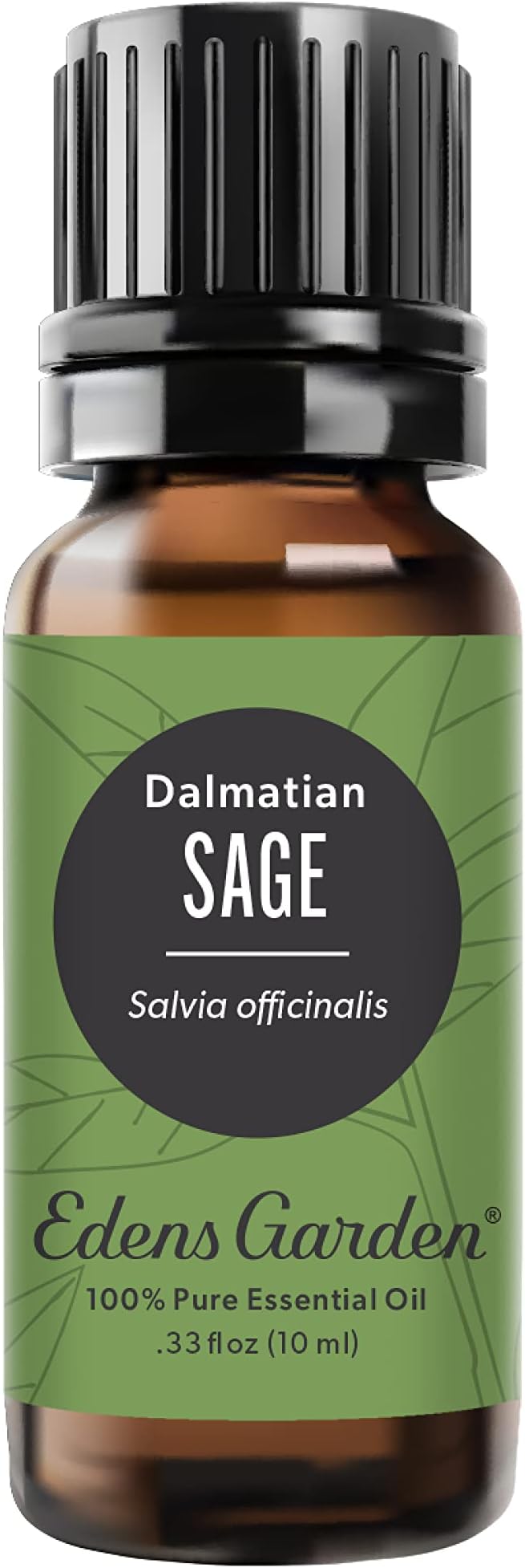 Edens Garden Sage- Dalmation Essential Oil- 100% Pure Premium Grade, Therapeutic by EdensGarden