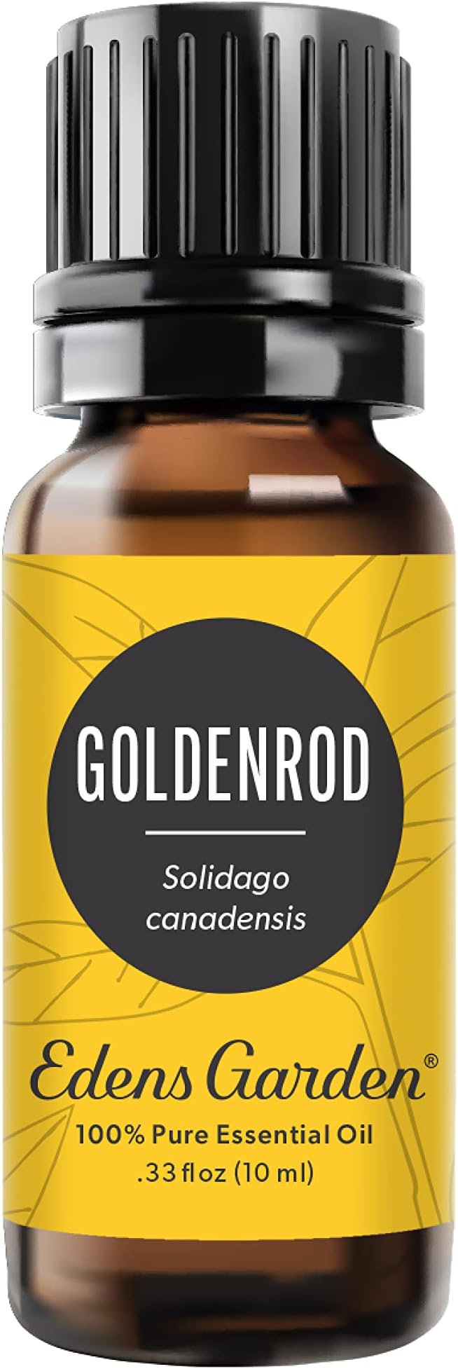 Edens Garden Goldenrod Essential Oil- 100% Pure Premium Grade, Therapeutic by EdensGarden
