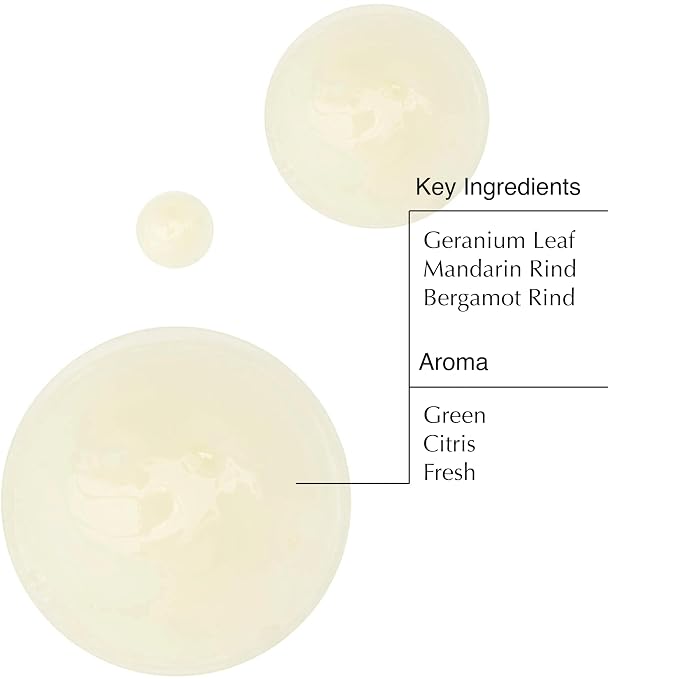 Aesop Geranium Leaf Body Cleanser | Non-drying Gentle Cleanser | Geranium Leaf - Image 3