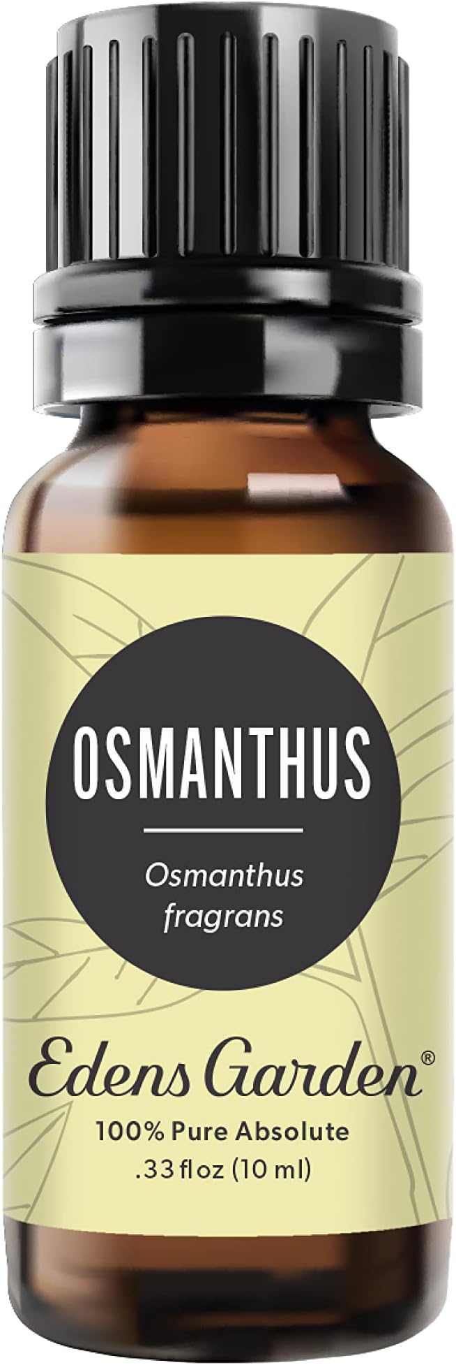 Edens Garden Osmanthus Essential Oil- 100% Pure Premium Grade, Therapeutic by EdensGarden