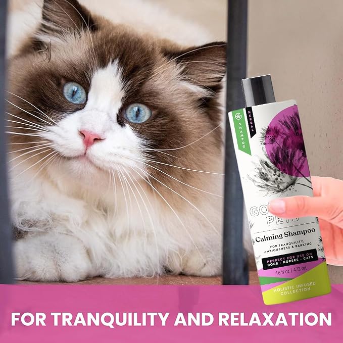 Holistic Natural Derived Calming Pet Shampoo - Image 5