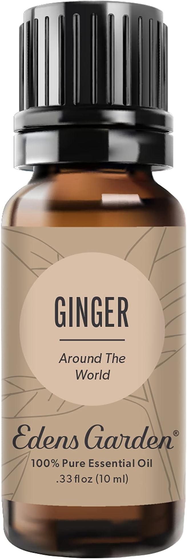 Edens Garden Ginger Around The World Essential Oil- 100% Pure Premium Grade by EdensGarden