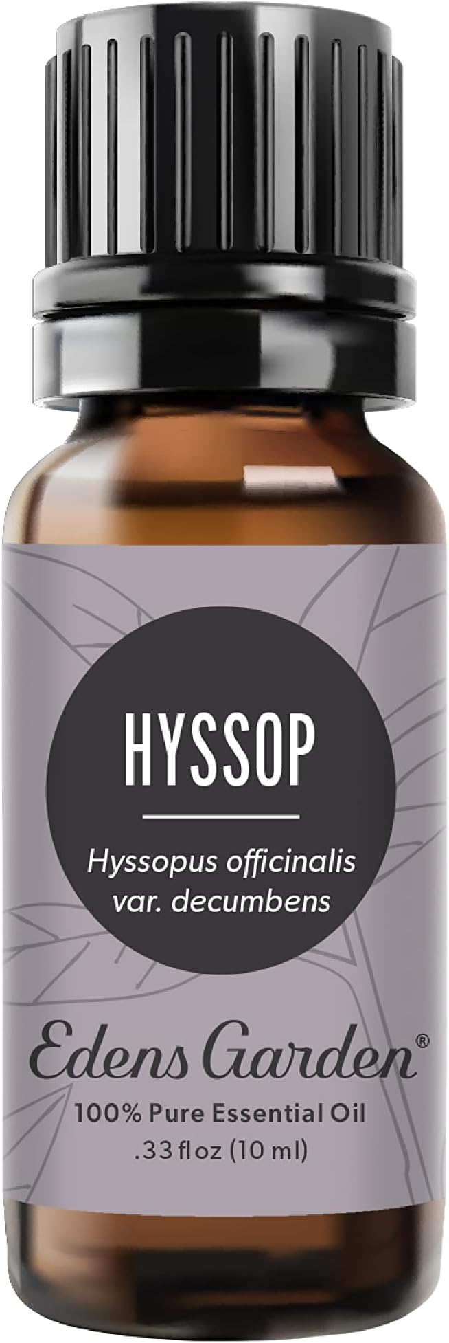 Edens Garden Hyssop Essential Oil, 100% Pure Therapeutic Grade 10 ml by EdensGarden