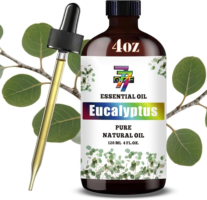 Eucalyptus Essential Oil — Eucalyptus Oils by GV77ZFESSENTIALOILBUYNOW