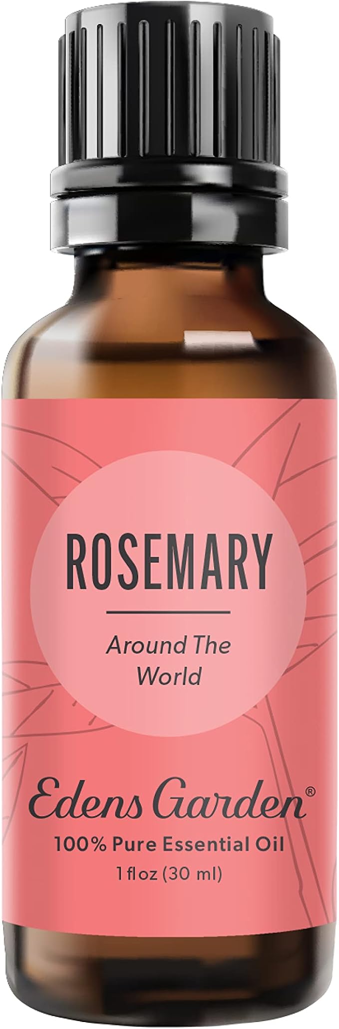 Edens Garden Rosemary Around The World Essential Oil- 100% Pure Premium Grade by EdensGarden
