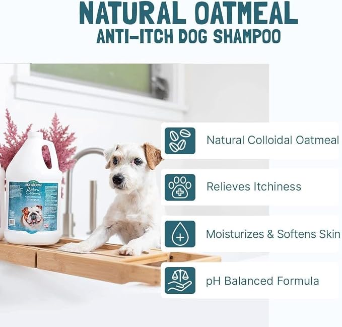 Bio-Groom Oatmeal Dog Shampoo - Image 4