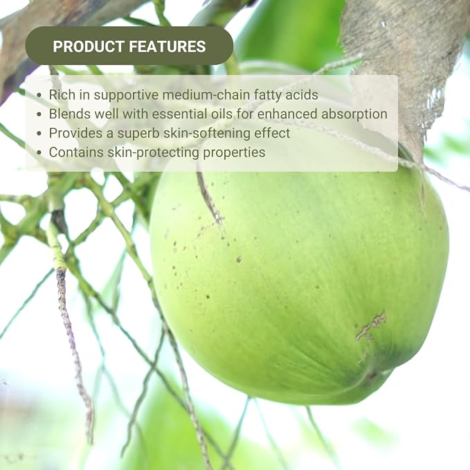 Fractionated Coconut Oil - Image 5