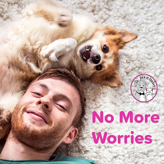 Jax n Daisy Soothing Dog Shampoo - Image 6