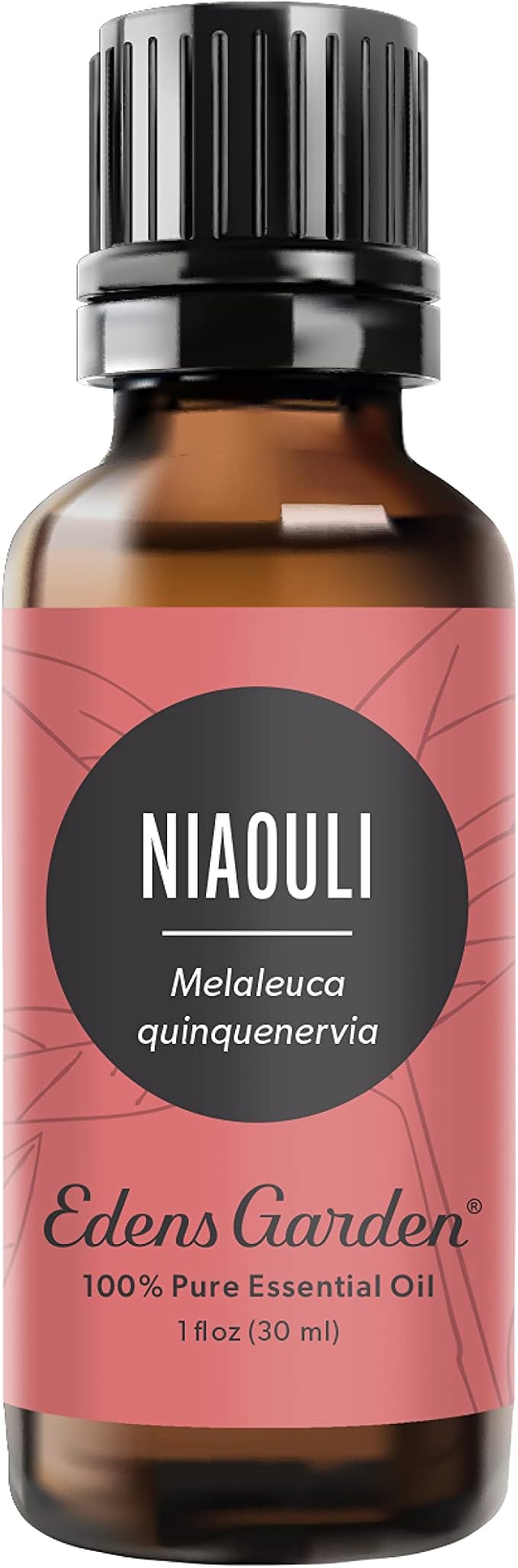Edens Garden Niaouli Essential Oil- 100% Pure Premium Grade, Therapeutic by EdensGarden