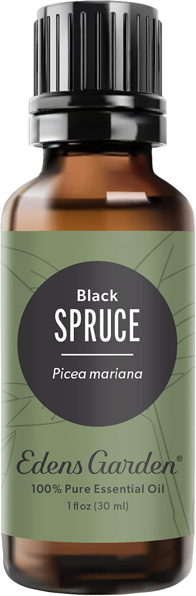 Edens Garden Spruce- Black Essential Oil- 100% Pure Premium Grade, Therapeutic by EdensGarden
