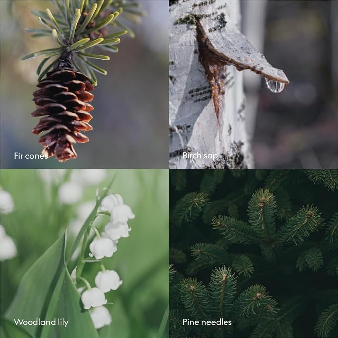 Skandinavisk SKOG ‘Forest’ Hand & Body Wash Refill, Scent Notes: Pine Needles - Image 5