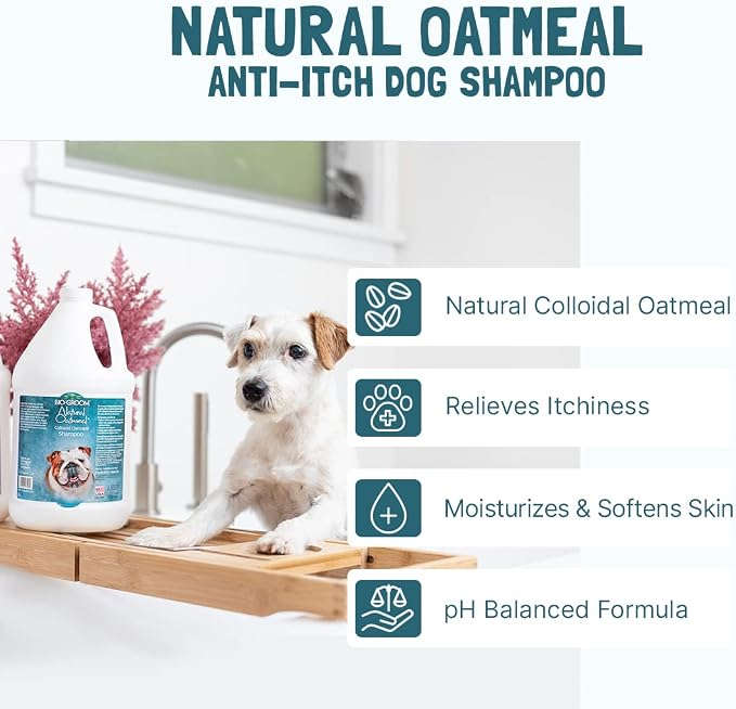 Bio-Groom Oatmeal Dog Shampoo - Image 3