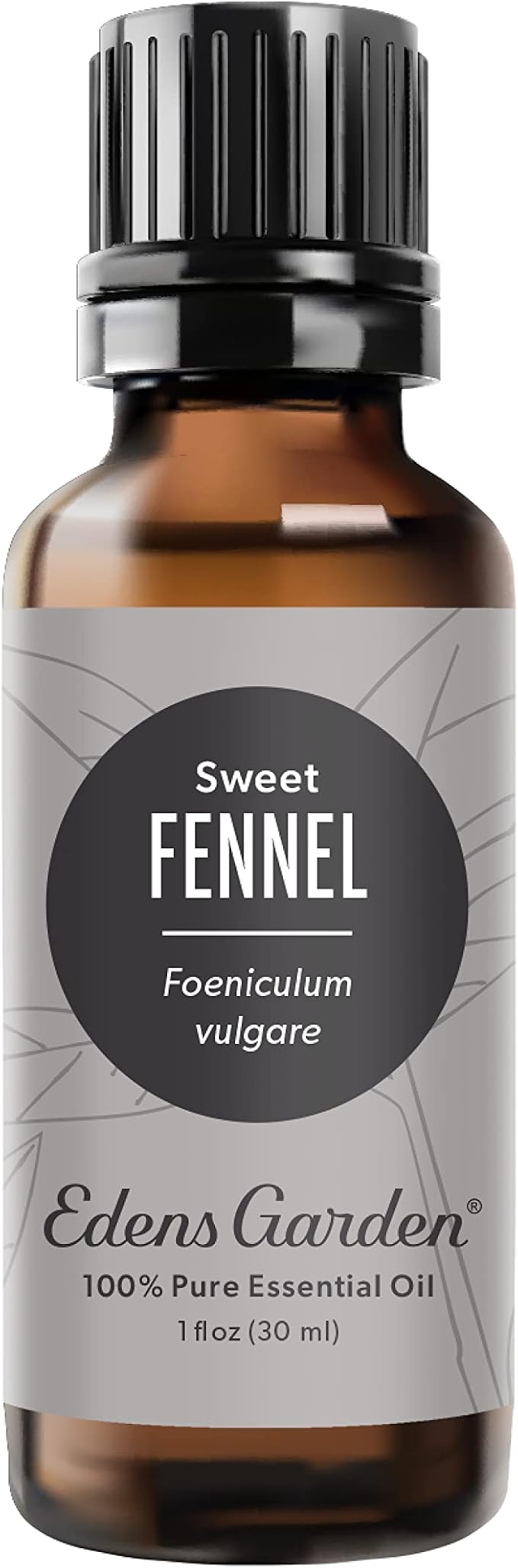 Edens Garden Fennel- Sweet Essential Oil- 100% Pure Premium Grade, Therapeutic by EdensGarden