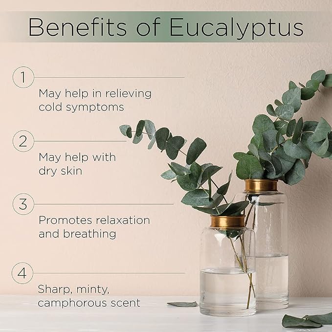 Radha Beauty Eucalyptus Essential Oil 4 oz - Image 4