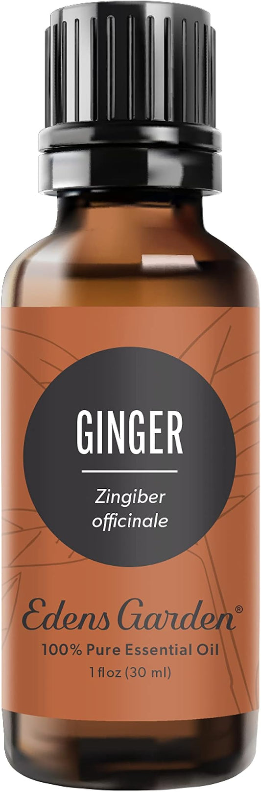 Edens Garden Ginger Essential Oil- 100% Pure Premium Grade, Therapeutic by EdensGarden