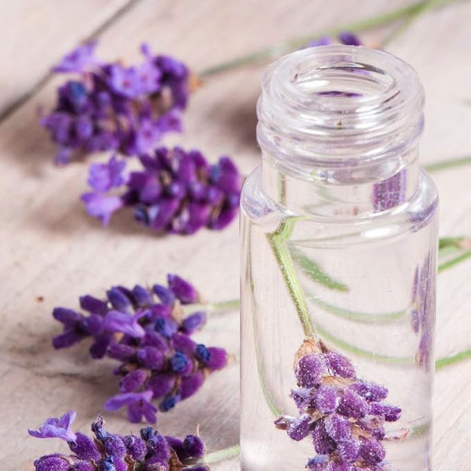 Lavender Water Hydrosol - Image 5